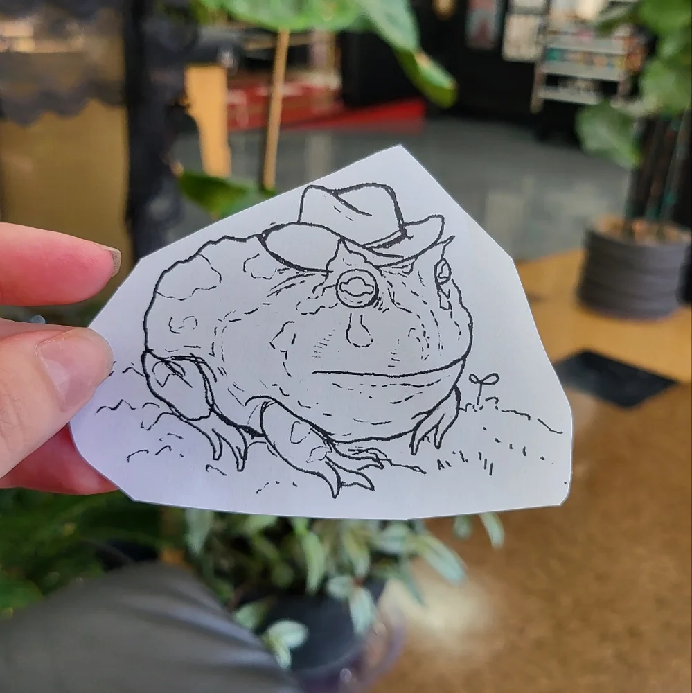 Frog in hat